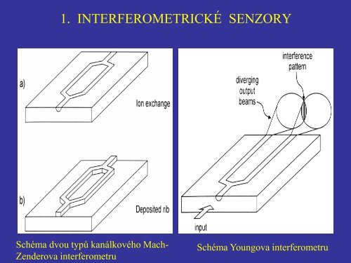 OPTICKÉ BIOSENZORY.pdf - FBMI