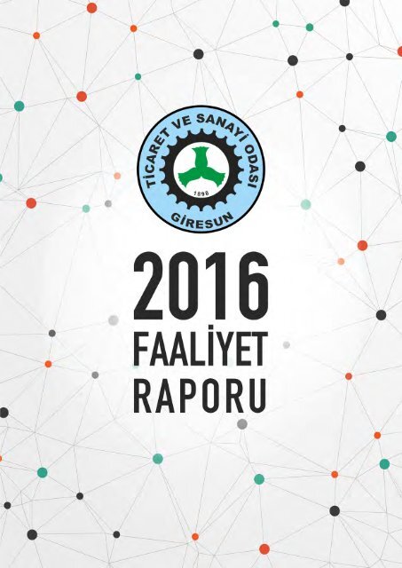 Faaliyet Raporu 2016