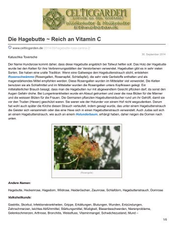 Die Hagebutte  Reich an Vitamin C