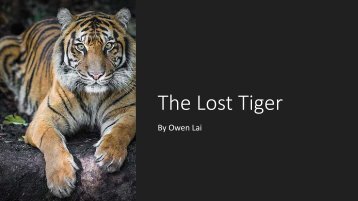The Lost Tiger