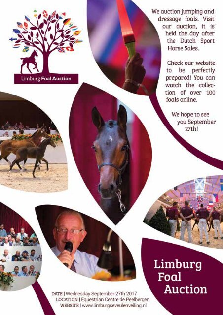 Dutch Sport Horse Sales catalogue 2017 - rob ehrens vervangen