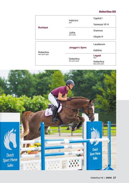 Dutch Sport Horse Sales catalogue 2017 - rob ehrens vervangen