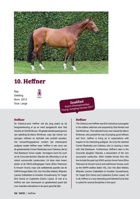 Dutch Sport Horse Sales catalogue 2017 - rob ehrens vervangen