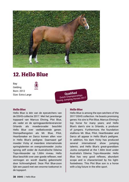 Dutch Sport Horse Sales catalogue 2017 - rob ehrens vervangen