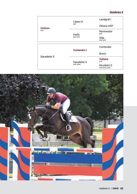 Dutch Sport Horse Sales catalogue 2017 - rob ehrens vervangen