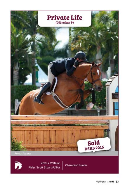 Dutch Sport Horse Sales catalogue 2017 - rob ehrens vervangen