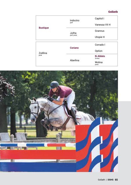 Dutch Sport Horse Sales catalogue 2017 - rob ehrens vervangen