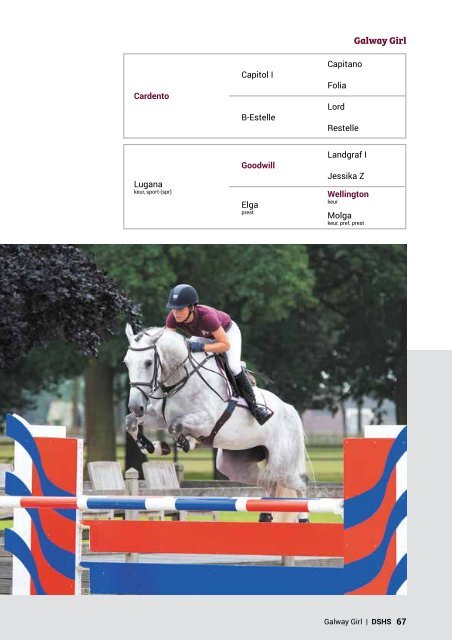 Dutch Sport Horse Sales catalogue 2017 - rob ehrens vervangen