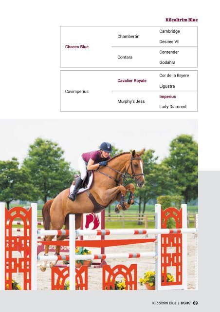 Dutch Sport Horse Sales catalogue 2017 - rob ehrens vervangen