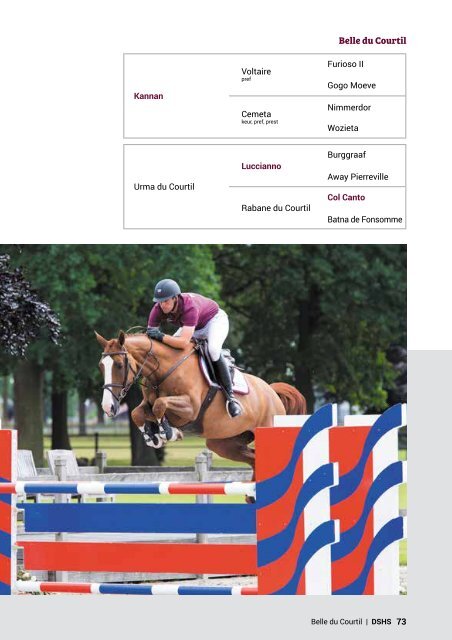 Dutch Sport Horse Sales catalogue 2017 - rob ehrens vervangen