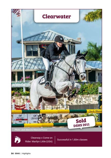 Dutch Sport Horse Sales catalogue 2017 - rob ehrens vervangen