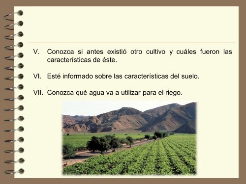 buenas practicas agricolas