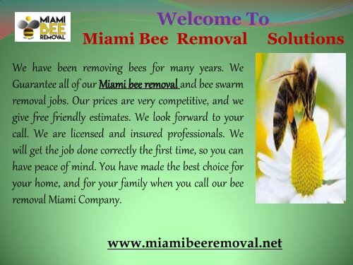 professional bee removals in Miami 