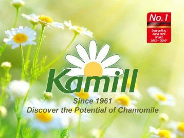 Kamill Presentation 2017