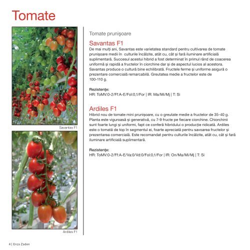 Brochure Tomato Romania 2017