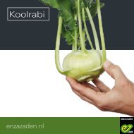 Leaflet Koolrabi 2019