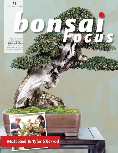 Acquistare Cutter Filo Bonsai - La forma che vuoi tu 