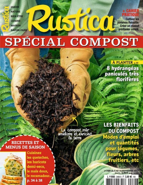 Comment faire vos sachets de lavande - Hortus Focus I mag