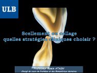 Colllage ou scellement (3LSD) - copie 2 (f) 