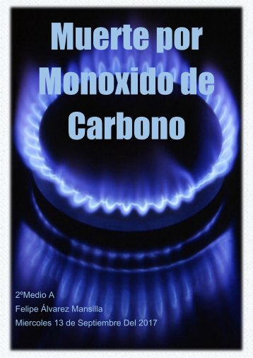 Muerte por Monoxido de Carbono