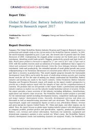Global Nickel-Zinc Battery Industry Situation and Prospects Research report 2017