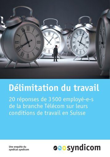 Délimitation du travail