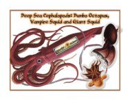 Lesson 4 - Deep Sea Cephalopods Rvsd 91517.PDFX-3