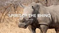 rhino