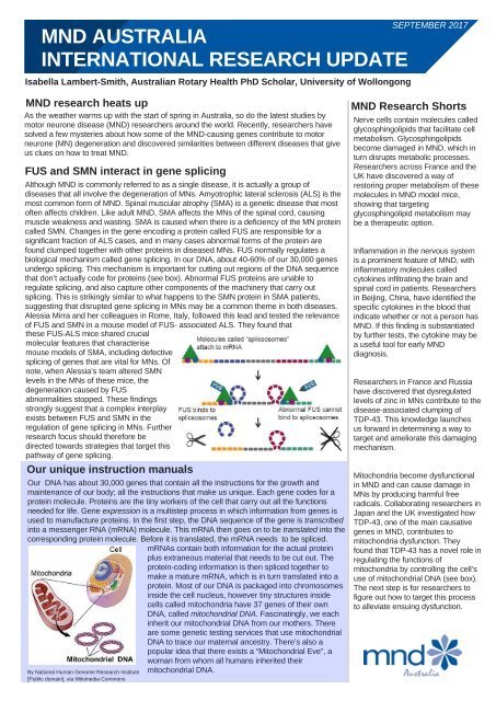 International Research Update September 2017 (6)