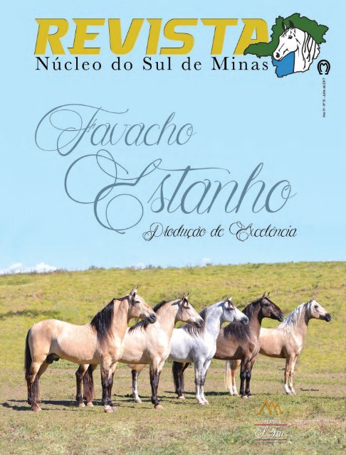 Revista Sul de Minas net
