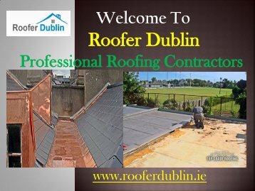 Restoration Re-Roof Repairing Service, 