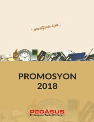 Pegasus Dijital 2018 Promosyon Kataloğu