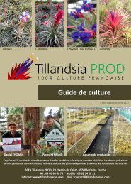 GUIDE DE CULTURE TILLANDSIA PROD 2017 