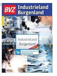BVZ Industriebeilage Industriellenvereinigung Burgenland