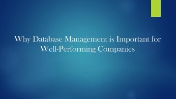 Why Database Management is Important for Well-Performing Companies