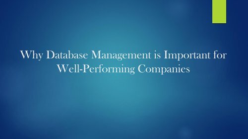 Why Database Management is Important for Well-Performing Companies