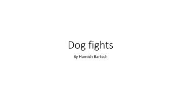 hamish Dog fights