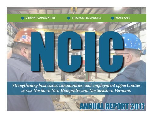NCIC 2017 Annual Report