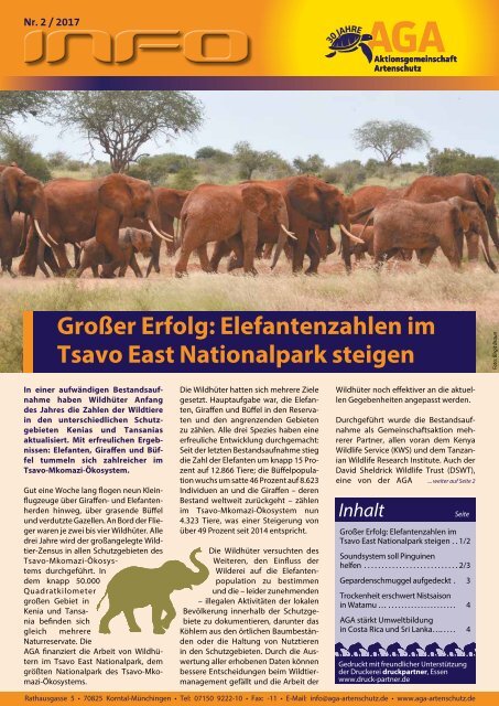 Großer Erfolg: Elefantenzahlen im Tsavo East Nationalpark steigen