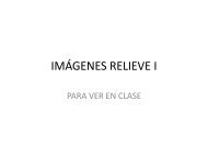 IMÁGENES RELIEVE I