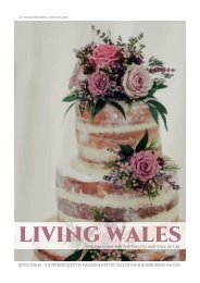 Living Wales AUTUMN 2017 web