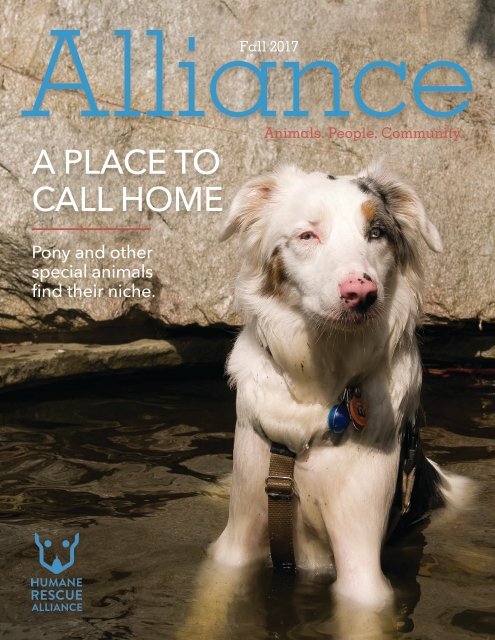 The Alliance Magazine Fall 2017