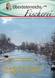 Download der Ausgabe 3/2011 - Oberösterreichischer ...