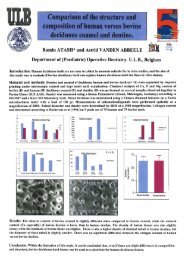 Comparison of the structure and composition of human versus bovine deciduous enamel and dentine