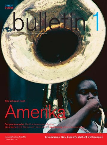 bull_01_01_Amerika