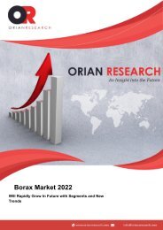  Borax Market Professional Survey Report 2022