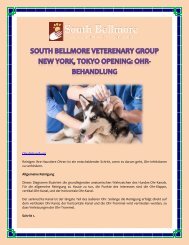 South Bellmore Veterenary Group New York, Tokyo Opening: Ohr-Behandlung