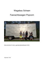 Projektbericht Wagabau Schaan 2016/2017