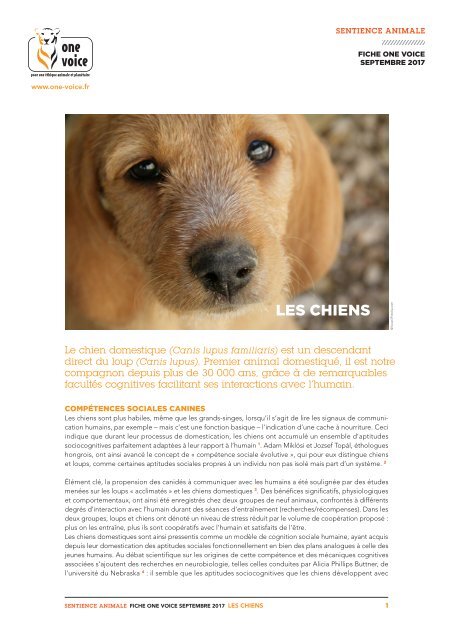 Les chiens