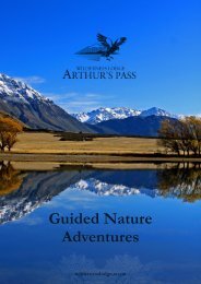 Wilderness Lodge Arthur's Pass - Guided Nature Adventures